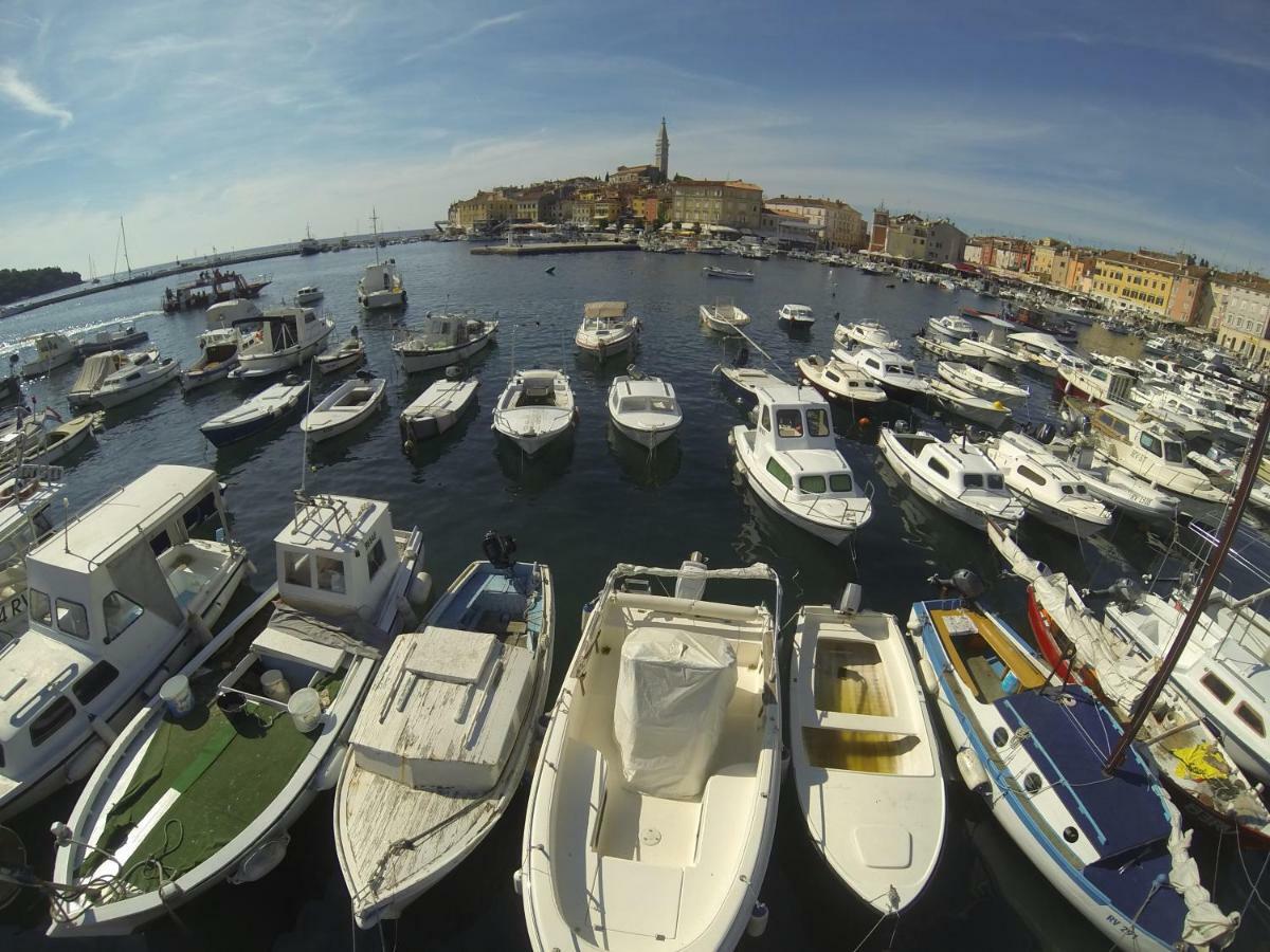 apartma Jelka Novigrad  Bagian luar foto