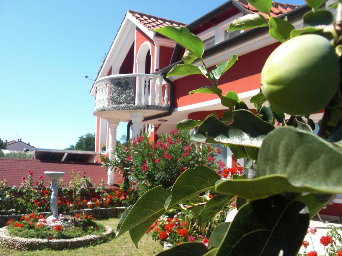 apartma Jelka Novigrad  Bagian luar foto