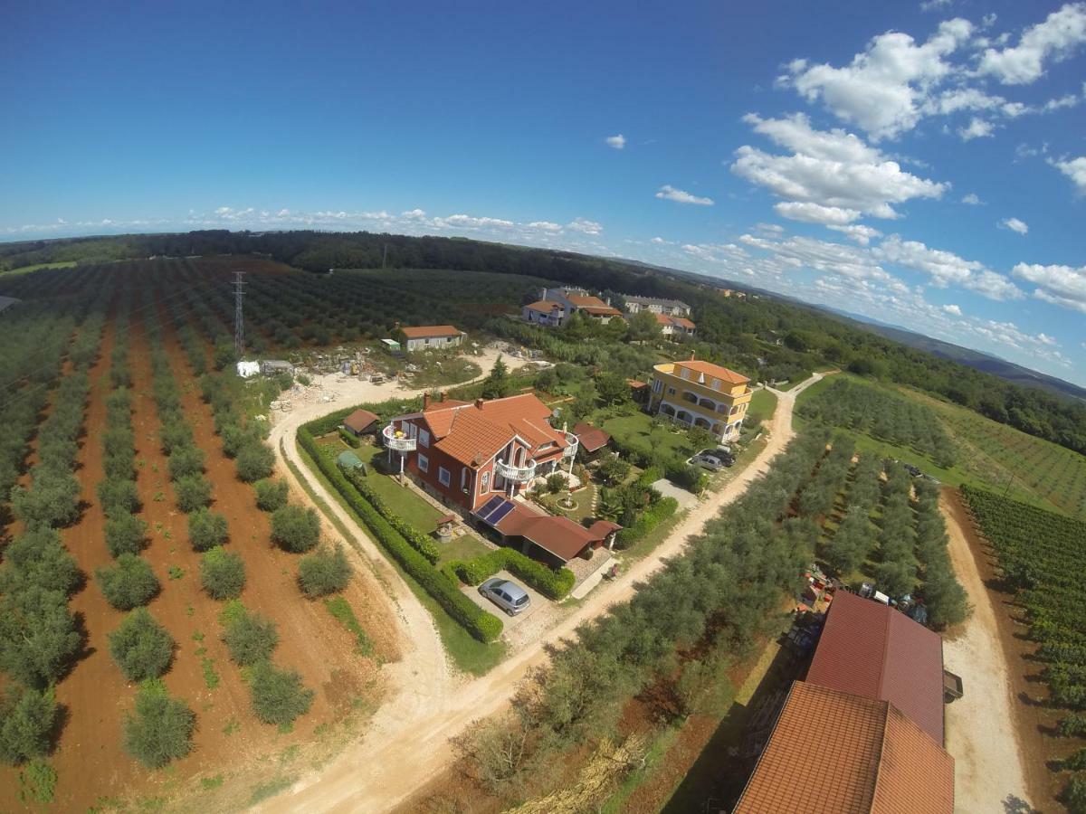 apartma Jelka Novigrad  Bagian luar foto