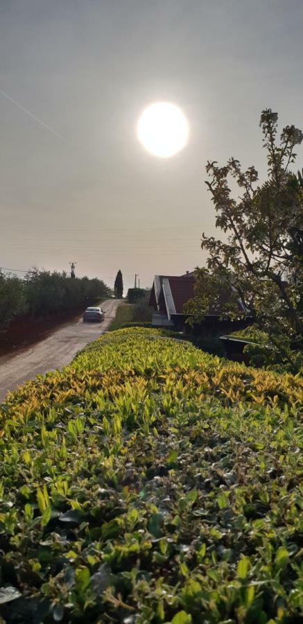 apartma Jelka Novigrad  Bagian luar foto