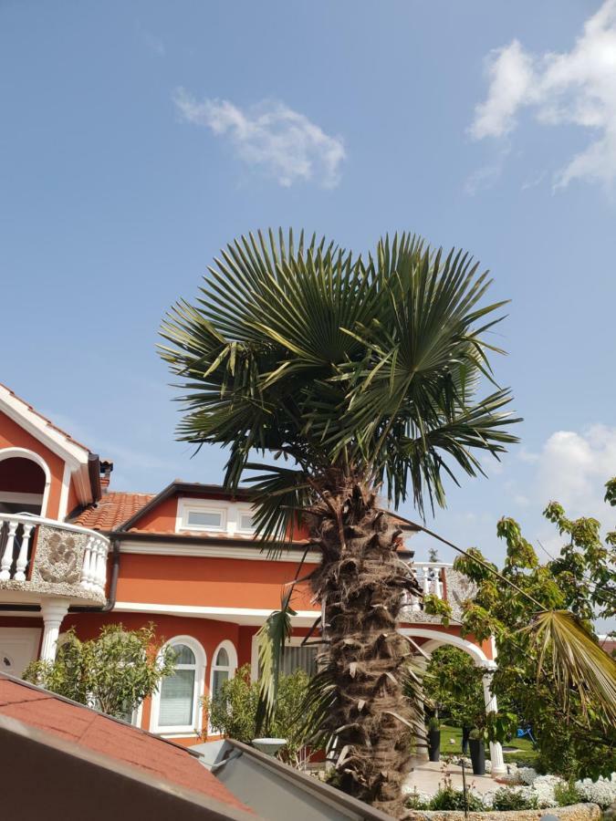 apartma Jelka Novigrad  Bagian luar foto