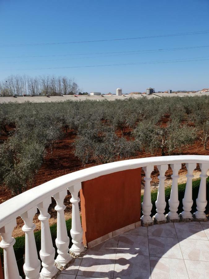 apartma Jelka Novigrad  Bagian luar foto